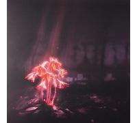 Enter Shikari - Kiss for The Whole World-Pink Sparkle Colored Vinyl [Import]