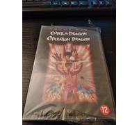 Enter The Dragon