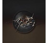 Enter the Mirror - Vinyle Platine