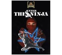Enter The Ninja