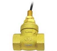 Entgoinggo Interrupteur de débit d'eau à ailette, avec capteur Reed Régulateur de débit en cuivre réglable, pour tuyauterie industrielle IP66 Protection étanche G1/2 Compatible filetage G1/2