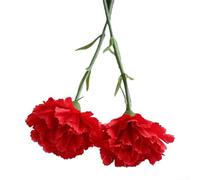Entgoinggo Lot de 10 fleurs artificielles en soie pour les occasions : mariage, maison, fête, festival, fleurs d'œillets (grand rouge)