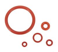 Entgoinggo Lot de 15 joints toriques en caoutchouc de silicone pour Saeco pour Gaggia - Pièces de rechange pour buse de machine à café Bosch pour Krups pour Siemens Spidem pour Solis