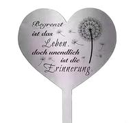 Entgoinggo Plaque commémorative en acier inoxydable en forme de cœur pour tombe - Décoration résistante aux intempéries (B)