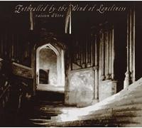 Enthralled By The Wind Of Loneliness