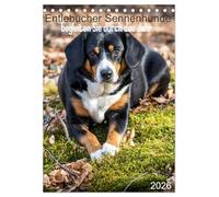 Entlebucher Sennenhunde begleiten Sie durch das Jahr (Tischkalender 2026 DIN A5 hoch), CALVENDO Monatskalender: Die Entlebucher Sennenhunde Emma und Luna