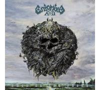 Entombed A.D. - Back To The Front (Sunburst Yellow/Red Vinyl) [VINYL]