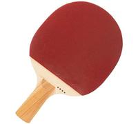Entraînement au Coup Simple avec Raquette de Tennis Table(Straight Plate)