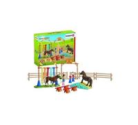 Entraînement D'agilité Pour Poney - Multicolore