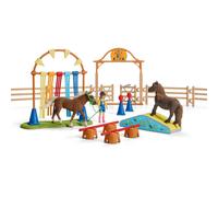 Entraînement d'agility pour poney
