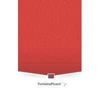 Entraînements aux épreuves du bac ASSP Epreuves E2, E31, E32, E33 - Hyacinthe Aubineau - Fontaine Picard Eds - broché - Scolaire / Universitaire