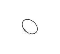 Entraineur diam 21cm pour micro-ondes Aeg 5028030700