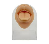 Entraîneur Professionnel En Silicone Pour La Pratique Du Perçage Du Visage Avec Anatomique Pour Les Cours Médicaux Et Simulateur De Perçage Corporel Sk