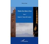 Entre les deux rives - Tome 1 Maghreb, l'impossible rupture - Nicole Jean - L'harmattan - broché - Roman