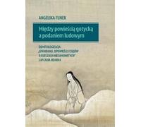 Entre roman gothique et conte populaire (Buch auf Polnisch)