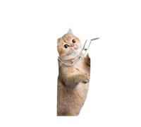 Entrebailleur Fenetre, limiteur de fenêtre sans perçage, verrou de sécurité réglable pour enfants, verrou porte coulissante pour enfants et animaux compagnie (blanc, paquet 2)