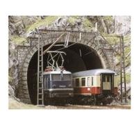 Entrée De Tunnel Double Voie Busch G
