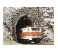 Entrée De Tunnel Electrique Busch N