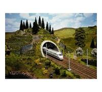 Noch Entrée de tunnel 58040 PROFI plus 2 voies, prêt à l'emploi, mousse rigide peinte H0, 1 pc