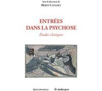 Entrees dans la psychose - etudes cliniques Hervé Castanet (Auteur)