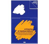 Entreprise Et Représentations - Didactique De L'histoire, De La Géographie Et Des Sciences Économiques Et Sociales : Un Exemple De Travail Avec Les Élèves