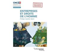 Entreprises Et Droits De L'homme - Mise En Oeuvre Des Principes Directeurs Des Nations Unies