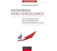 Entreprises : vers l'excellence - Une méthodologie de la performance par le management agile: Une méthodologie de la performance par le management agile