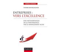 Entreprises : vers l'excellence - Une méthodologie de la performance par le management agile: Une méthodologie de la performance par le management agile