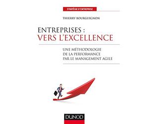 Entreprises : vers l'excellence - Une méthodologie de la performance par le management agile: Une méthodologie de la performance par le management agile