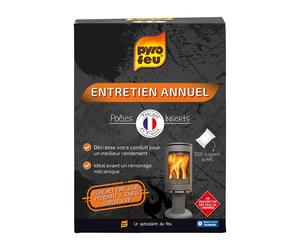 Entretien Annuel Bois Charbon pour Poêles & Inserts