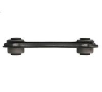 Entretoise/tige, stabilisateu DELPHI TC8662 pour KANGOO (KC0/1_) 1.6 2001-2018