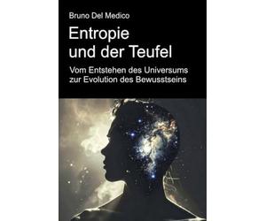Entropie und der Teufel. Vom Entstehen des Universums zur Evolution des Bewusstseins.: Essay über die kreative Unordnung des Universums und des Menschen.