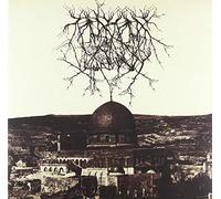 Entropy Created Consciousness - Impressions of The Morning Star [Import]