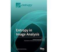 Entropy In Image Analysis