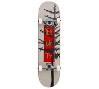 Enuff Evergreen Three Gris/Rouge 8.0