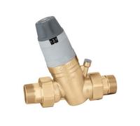 Caleffi Détendeur Caleffi 2 535090 2" AG avec cartouche interchangeable