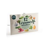 Radis et Capucine - Enveloppe 12 sachets - Légumes insolites à semer