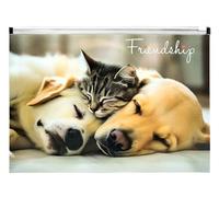Enveloppe A4 en PP avec impression de la fermeture éclair Friendship
