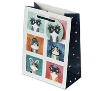 Enveloppe cadeau de Noël - Planet Cat - Chats - Angie Rozelaar - M