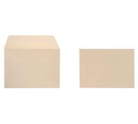 Clairefontaine 50046C - Paquet de 20 Enveloppes Auto-Adhésives - Format C6 (11,4x16,2cm) - 120g - Coloris Ivoire Irisé - Invitation Evènements et Correspondance - Gamme Pollen - Papier Premium Lisse