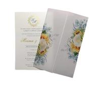 Enveloppes d'invitation, Cartes d'invitation de mariage 10 pièces enveloppe en vélin multicolore bricolage Transparent(WHITE02,Whole Set)