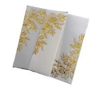 Enveloppes d'invitation, Cartes d'invitation de mariage 10 pièces enveloppe en vélin multicolore bricolage Transparent(Khaki,Vellum Wrap Envelope)