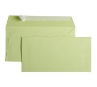 Clairefontaine Enveloppes auto-adhésives 55475C DL 11x22 cm 120 g/m² Vert Bourgeon Paquet de 20