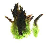 Environ 50 plumes de poulet pour travaux artisanat et couture 12 - 18 cm (vertes)