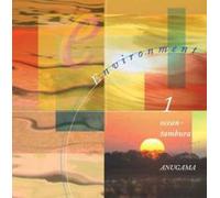Environment 1 Ocean Tambura [Import allemand]