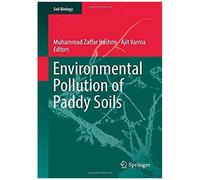 Environmental Pollution Of Paddy Soils