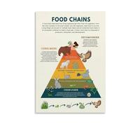 Environmental Science Poster Food Chain Food Web Ecosystem Energy Pyramid Chart for Biology Teachers Classroom and Home Schooling(Unframed,12X18inch(30X45cm))