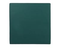 EnxJire Support Coussin Canapé Housse de Coussin imperméable en Mousse Haute densité 45D for canapé, Baie vitrée, Banc Jardin, balancelle(Green,40x40x5CM)