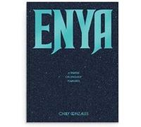 Enya A Treatise on Unguilty Pleasures Chilly Gonzales by Chilly Gonzales Rough Trade Books (Auteur)