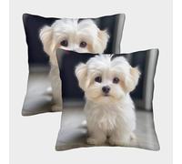 ENYISIYULO Bichon Frise Housse De Coussin Carré Lot De 2 Housses De Coussin Carrées Décoratives Dog pour Canapé Salon Chambre Jardin Interior Extérieur 45x45cm